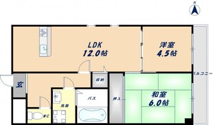 デルニエアンの物件間取画像